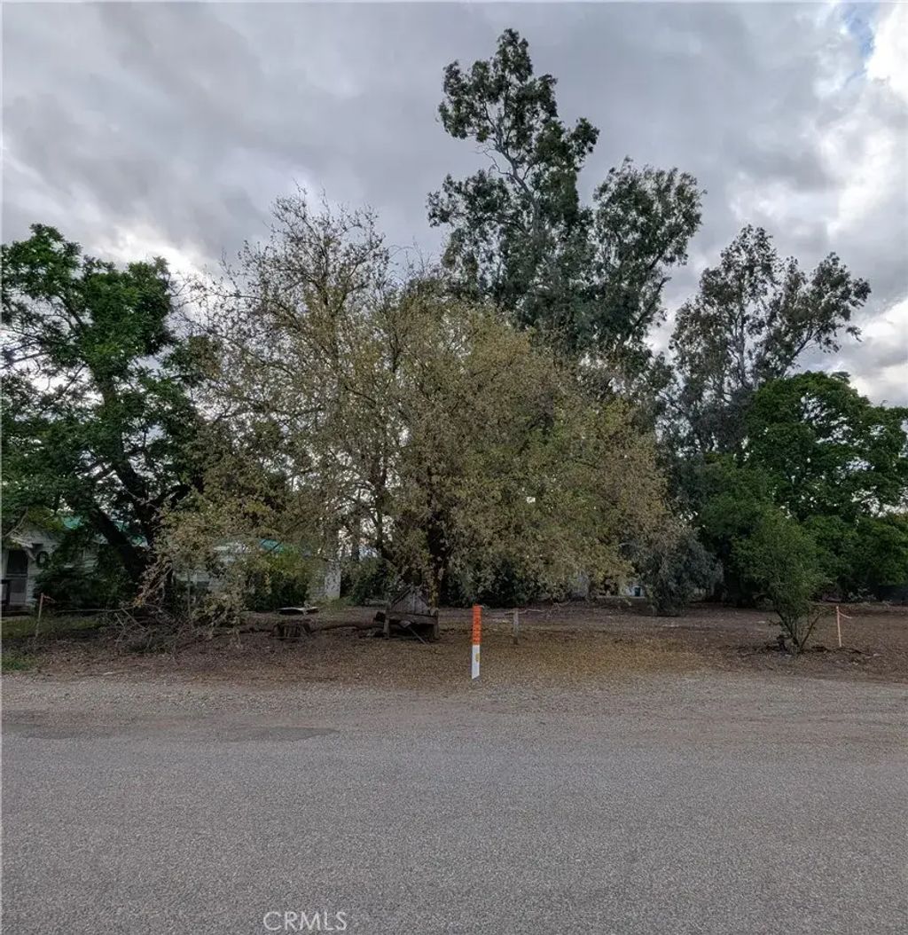 5th, Willows