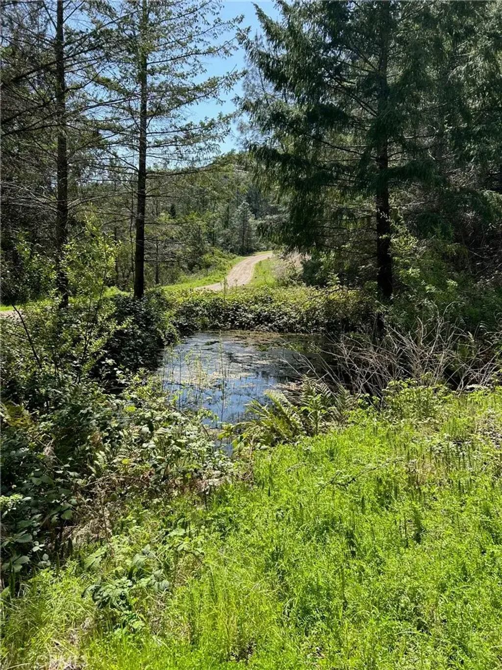 14607 Western Mine, Middletown