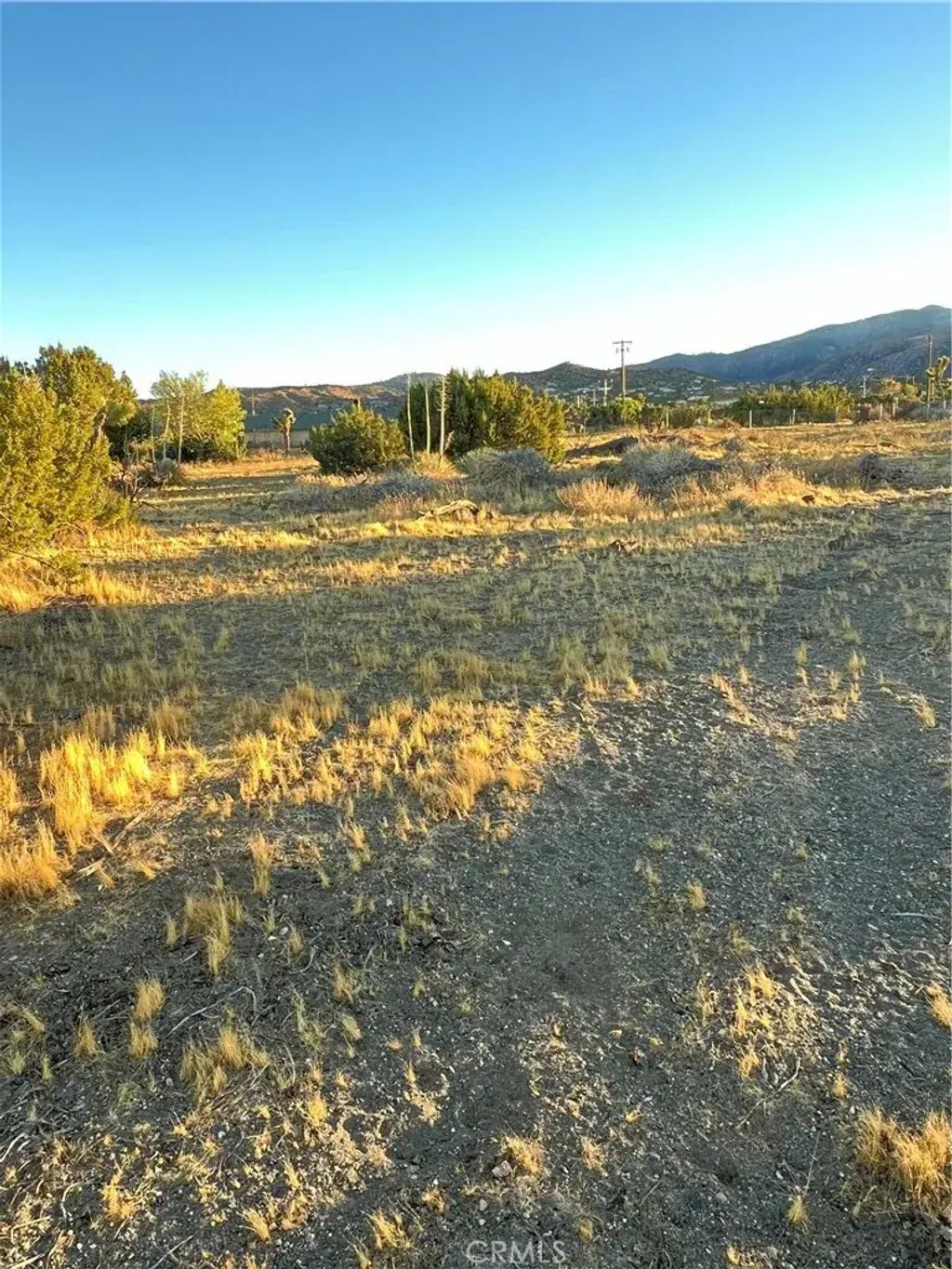 Elsinore, Pinon Hills