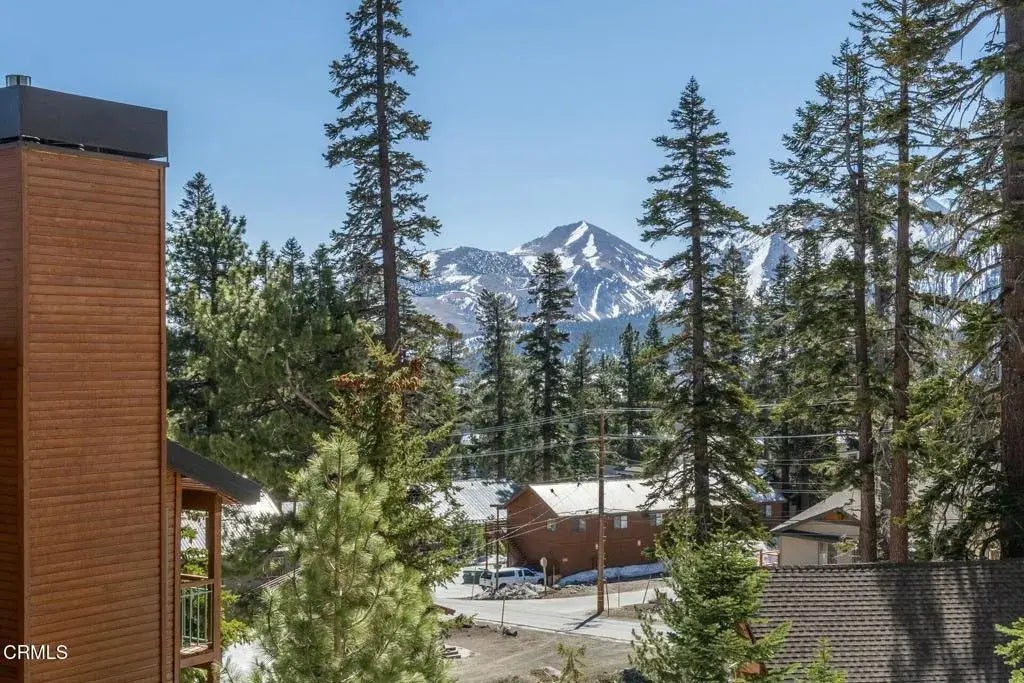 435 Lakeview Boulevard 116, Mammoth Lakes