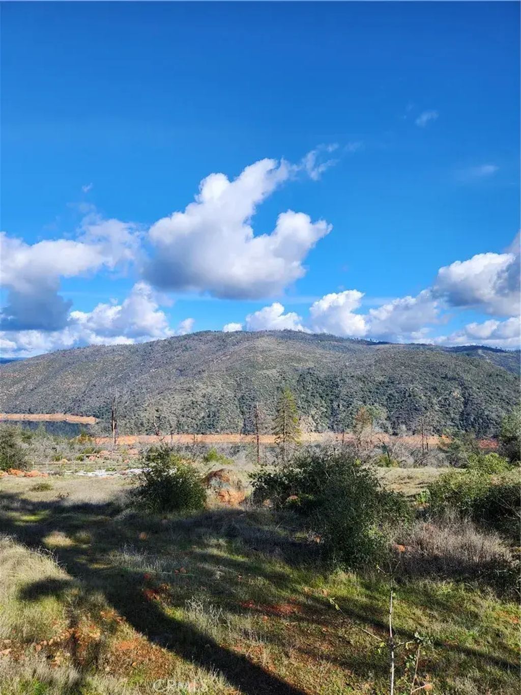 3901 Tippy Top Road, Oroville