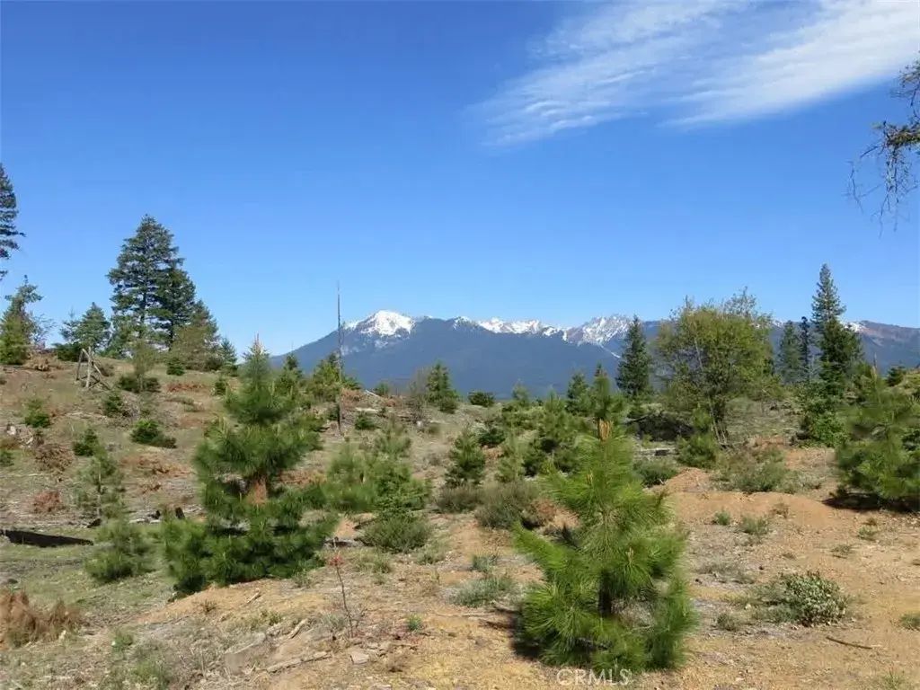 Bowerman Ridge Dr, Trinity Center