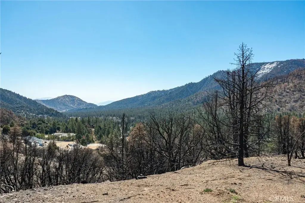 North Cardinal Rd, Wrightwood