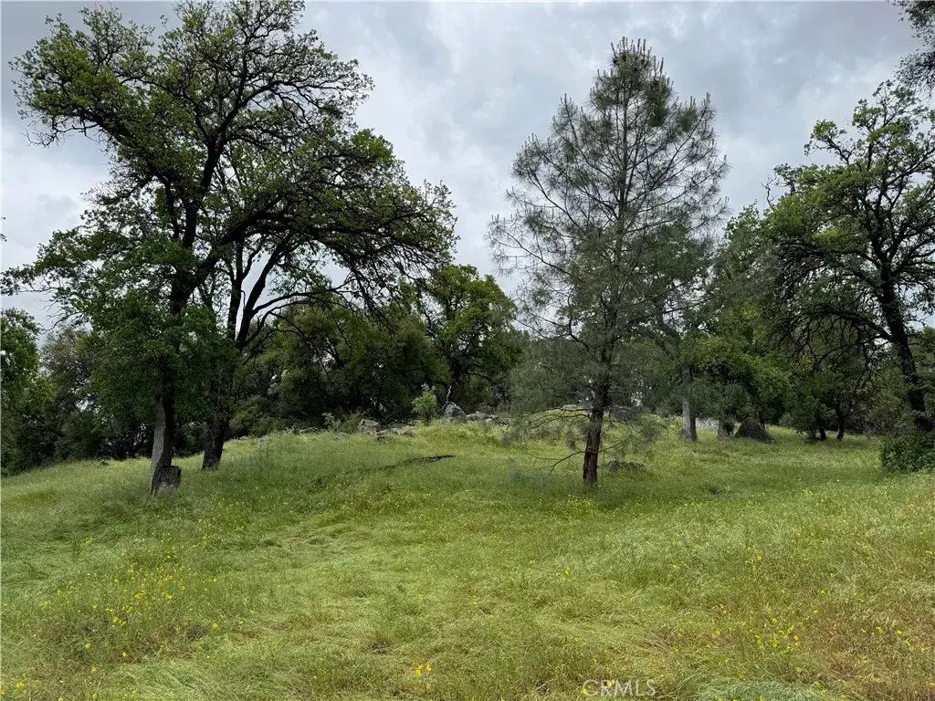 4516 Hirsch, Mariposa