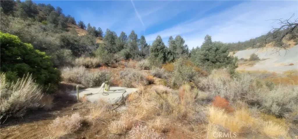 32897 Seymour Canyon, Frazier Park