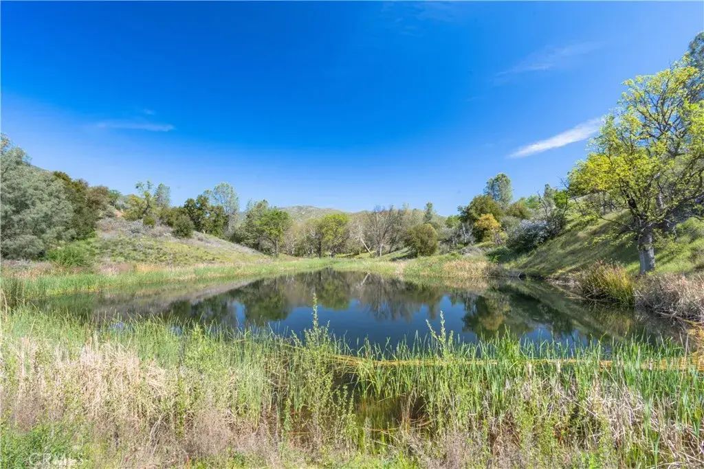Av Ranch, King City
