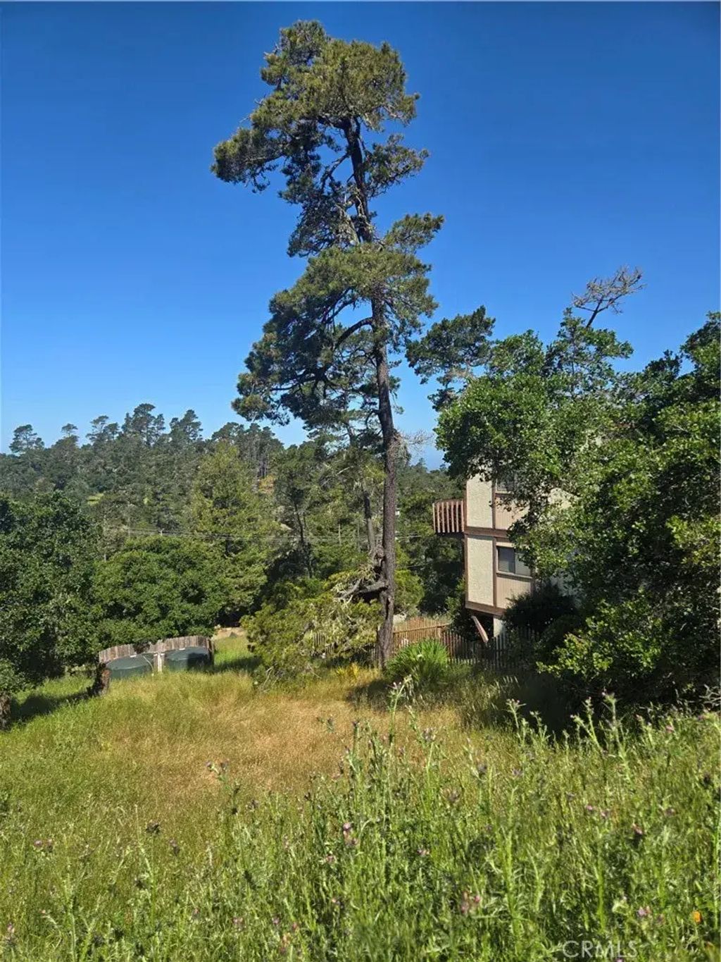 Pierce, Cambria
