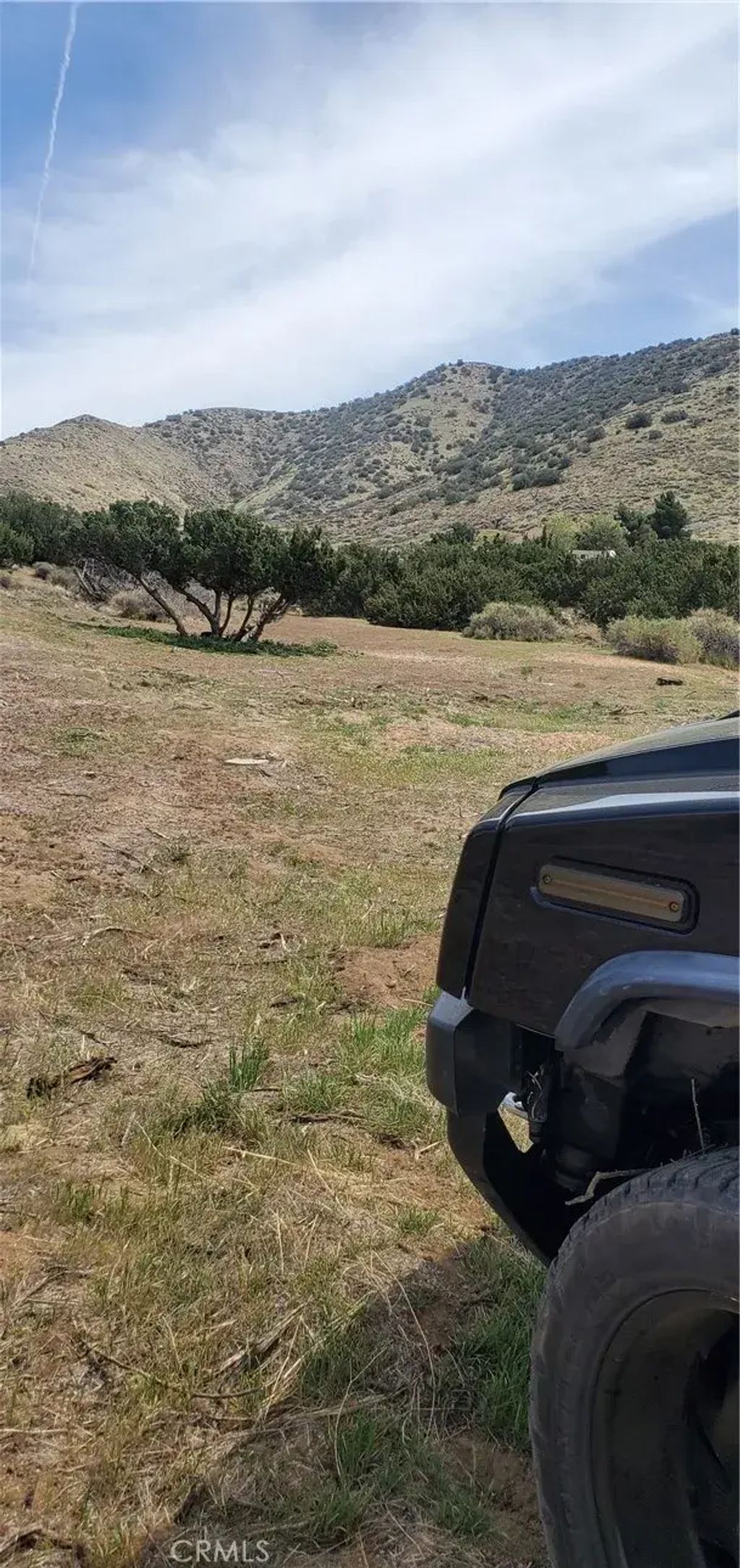 Soledad Pass/hillside, Acton