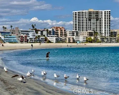 1310 E Ocean Boulevard East 1001, Long Beach