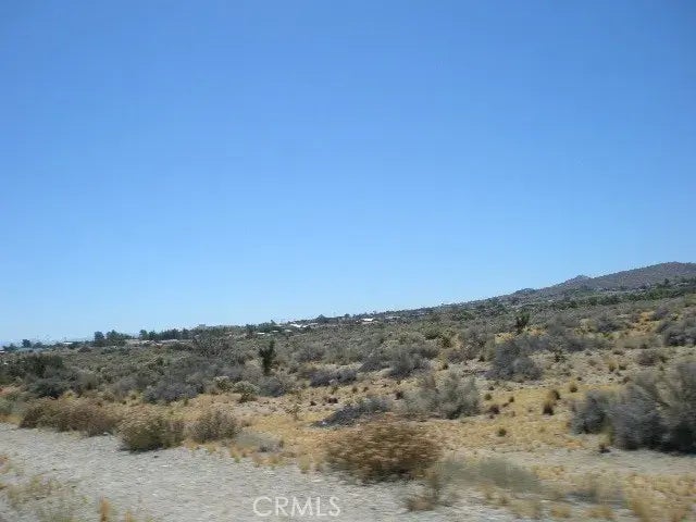 Beekley And Nielson, Phelan