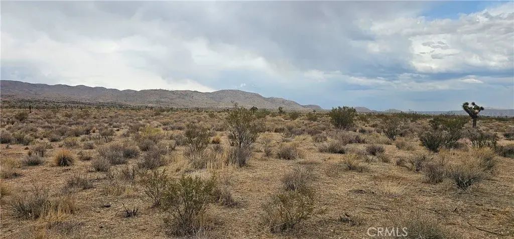 116th West, Rosamond