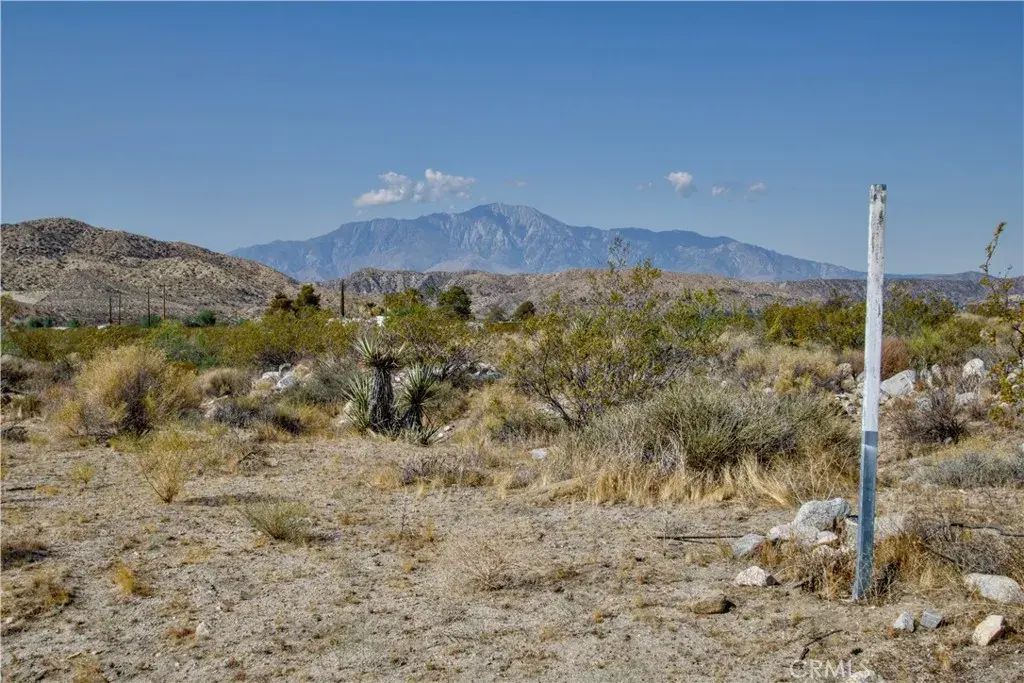 Big Morongo, Morongo Valley