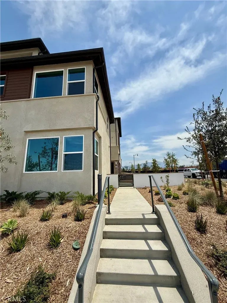 475 Flycatcher, Irvine