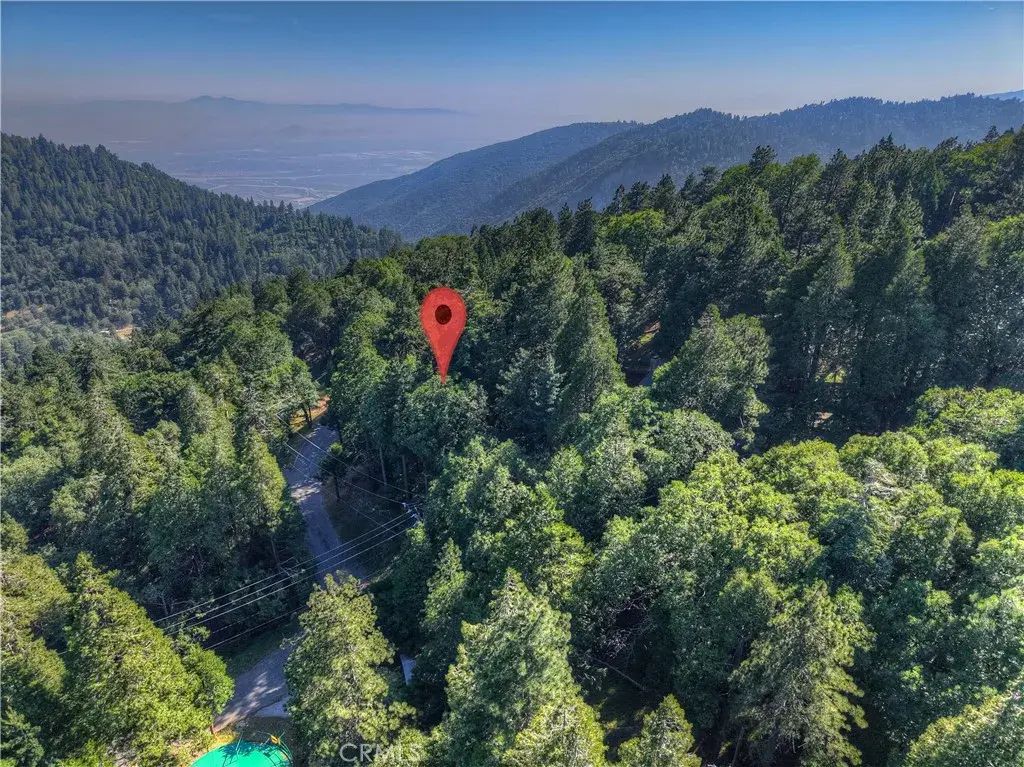 21764 Peak South, Cedarpines Park