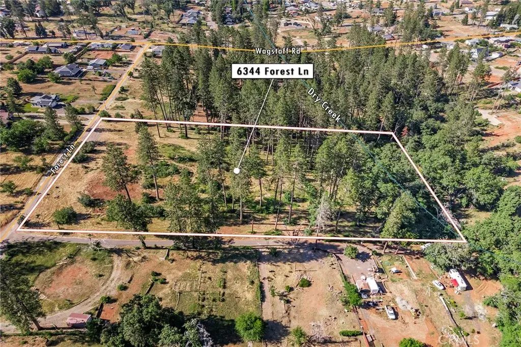 6344 Forest, Paradise