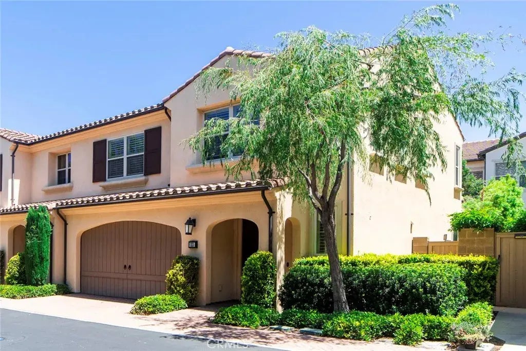 33 Bromeliad, Irvine