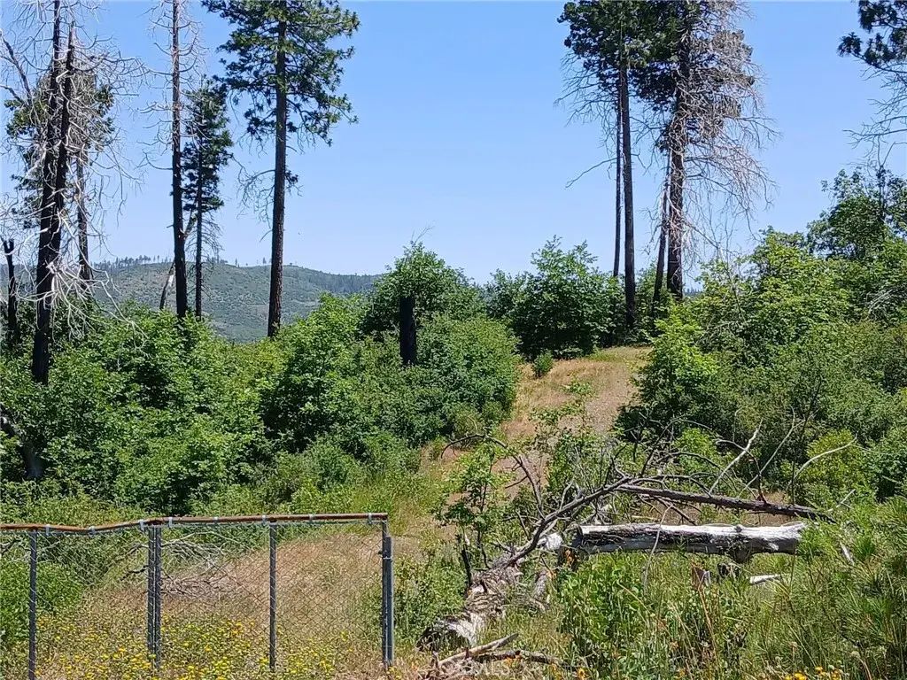 13392 Hog Ranch, Oroville