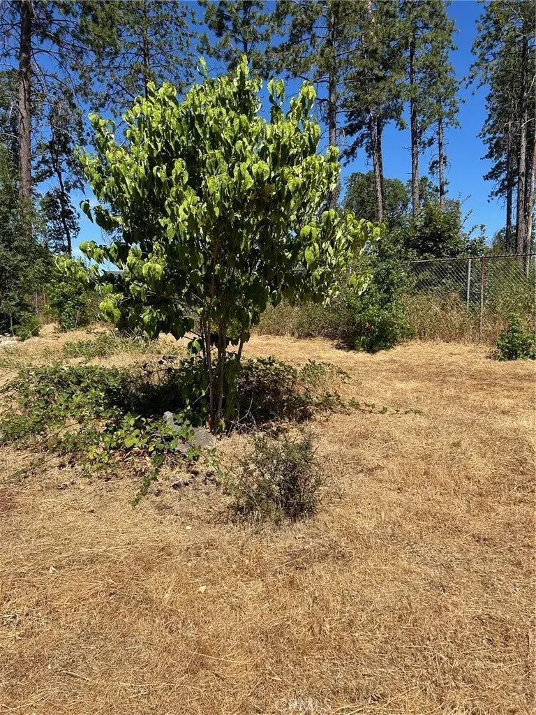 1345 Manhattan, Paradise