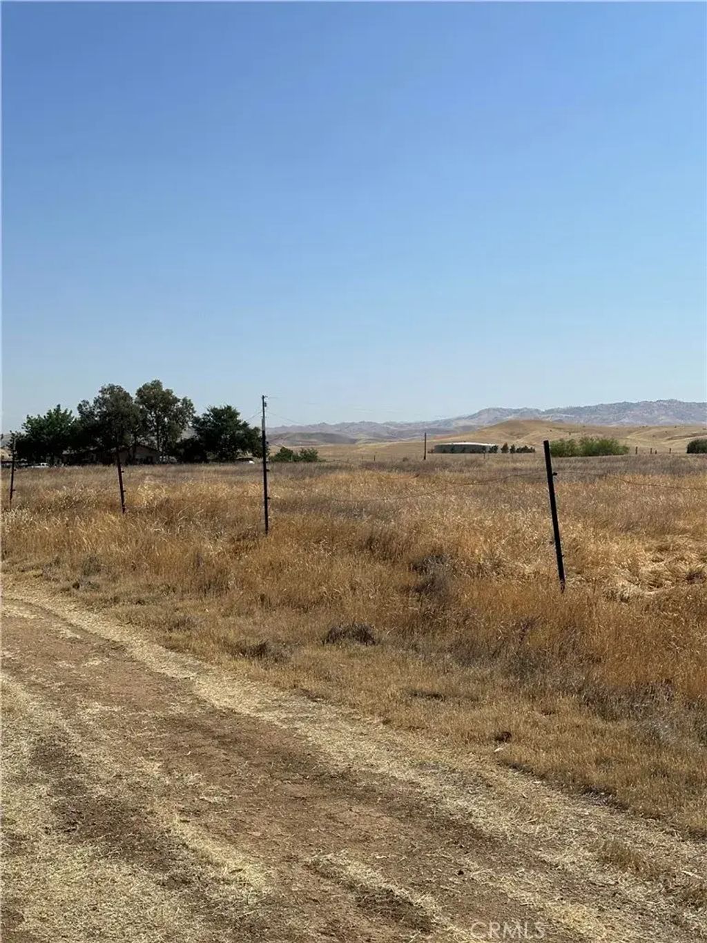 Cosmo, Bakersfield