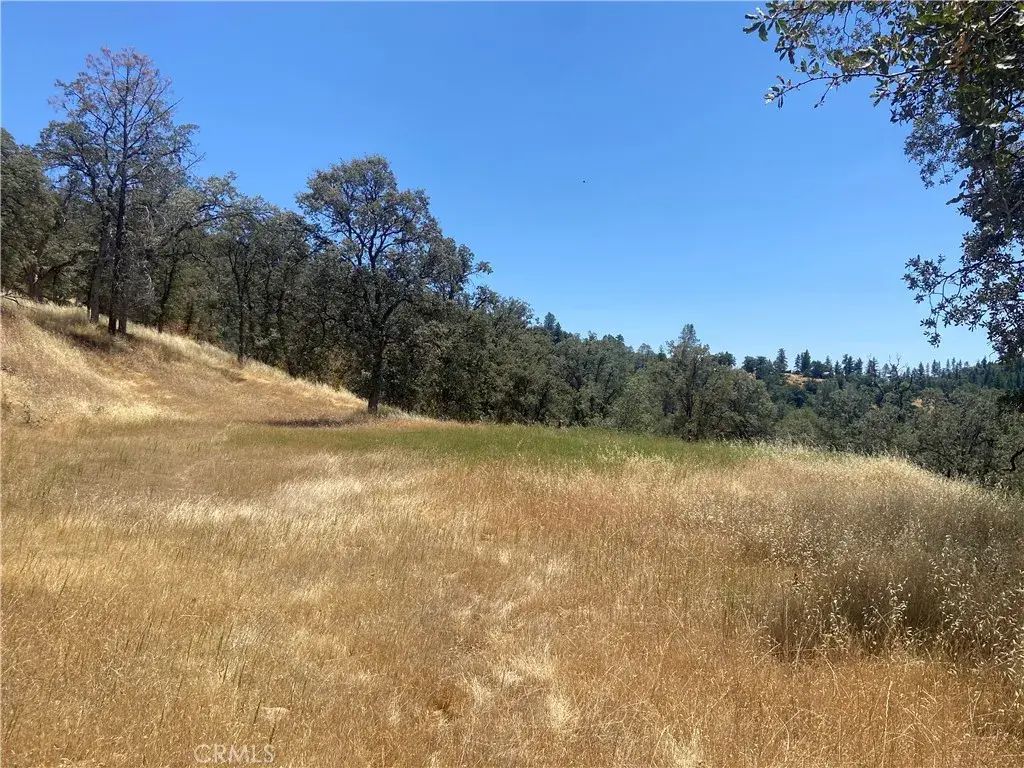 5737 Colorado, Mariposa