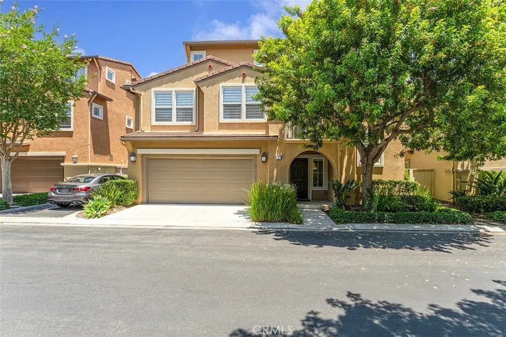 7 Ladypalm, Irvine