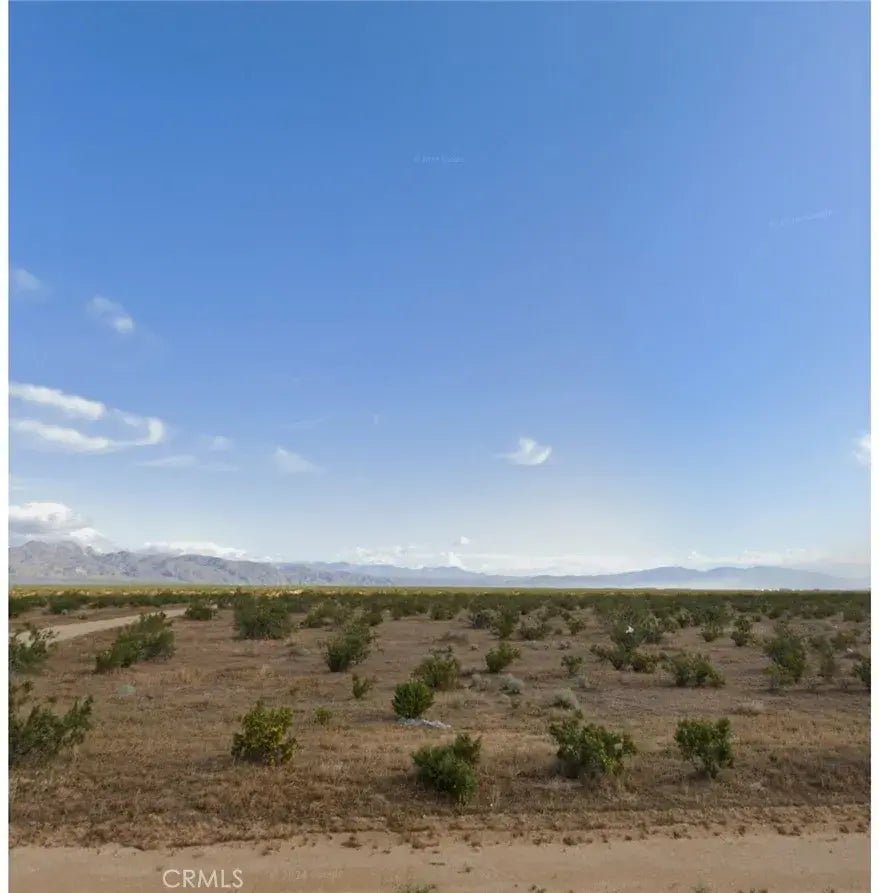 California City, California City