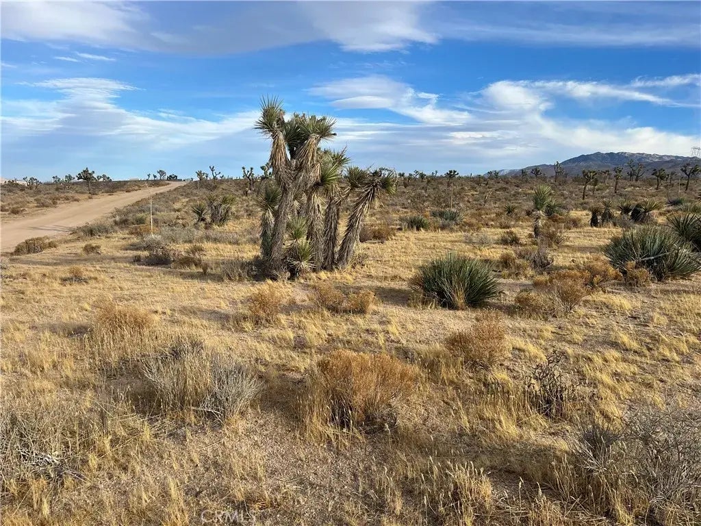 23926 Poppy, Apple Valley