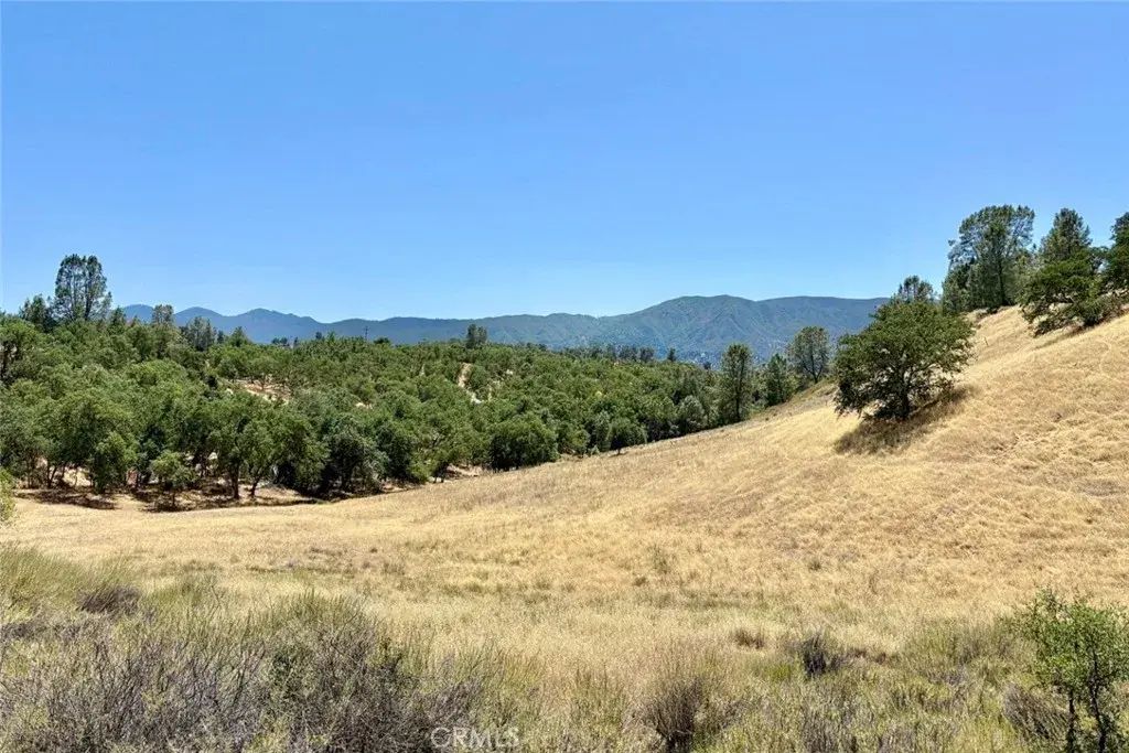 76310 Bryson Hesperia, Bradley