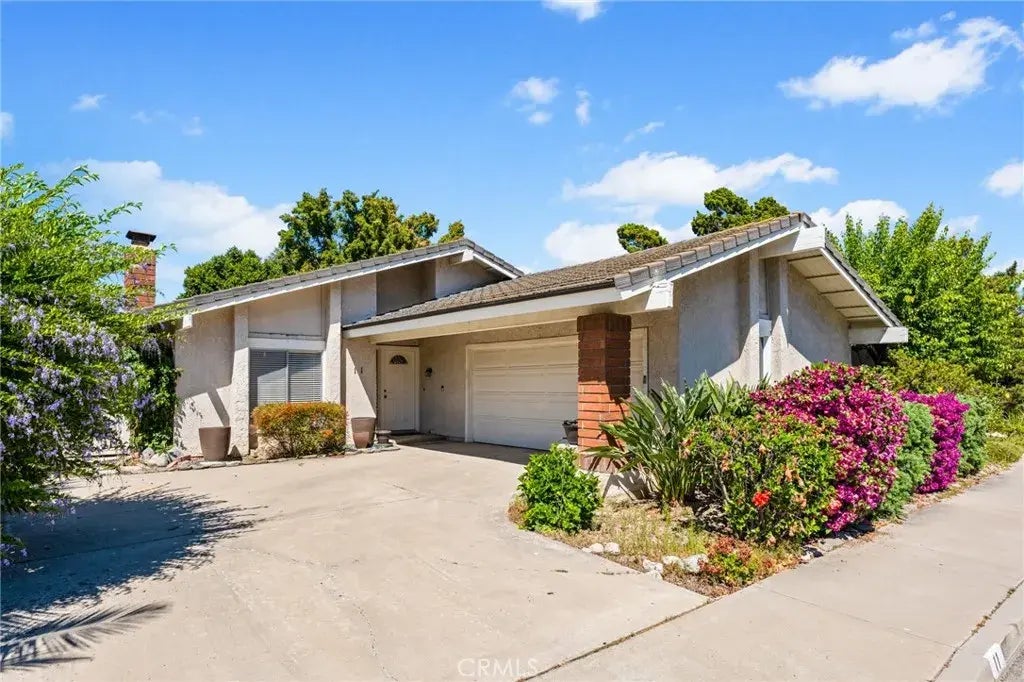 11 Blackswan, Irvine