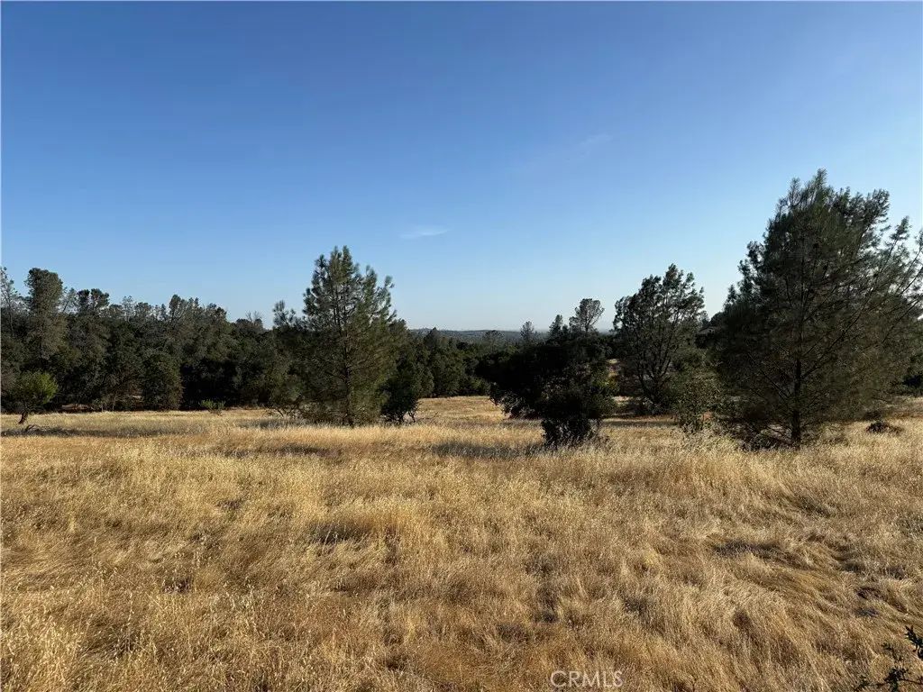 Skyline, Oroville