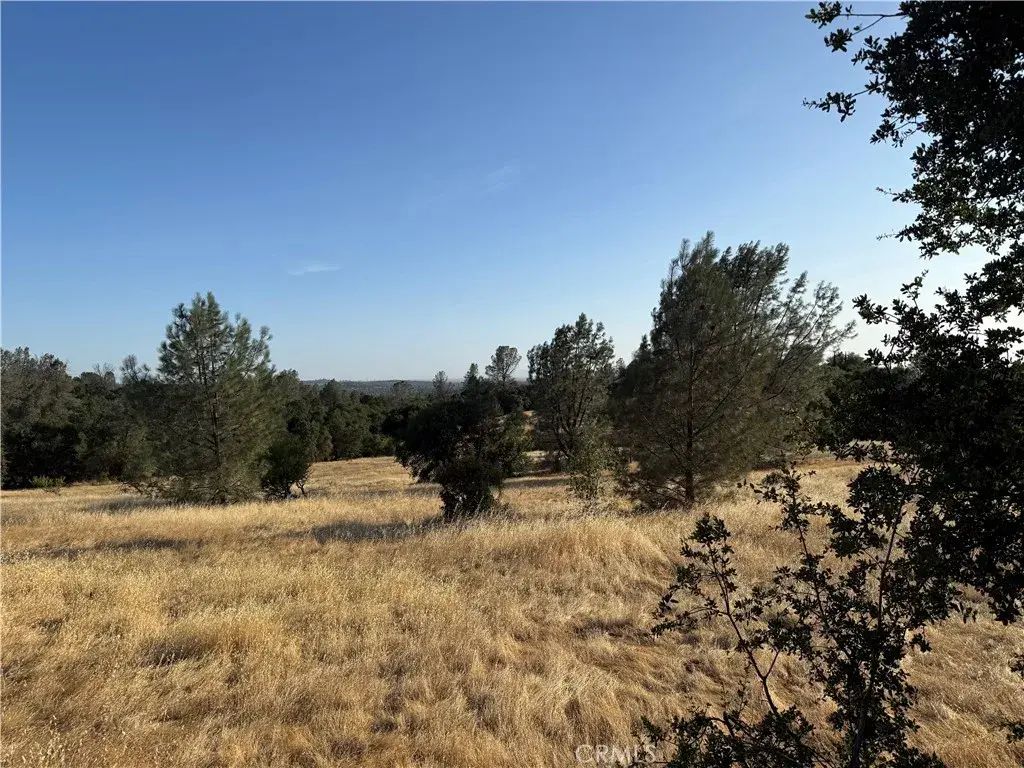 Skyline, Oroville
