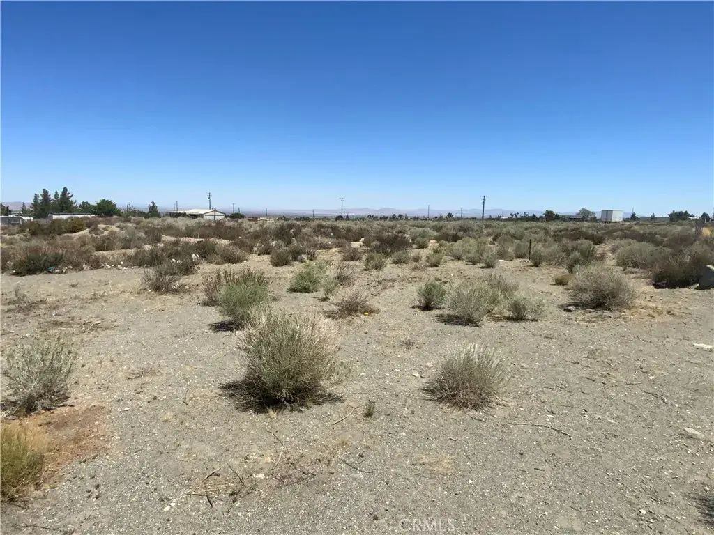 Green, Pinon Hills