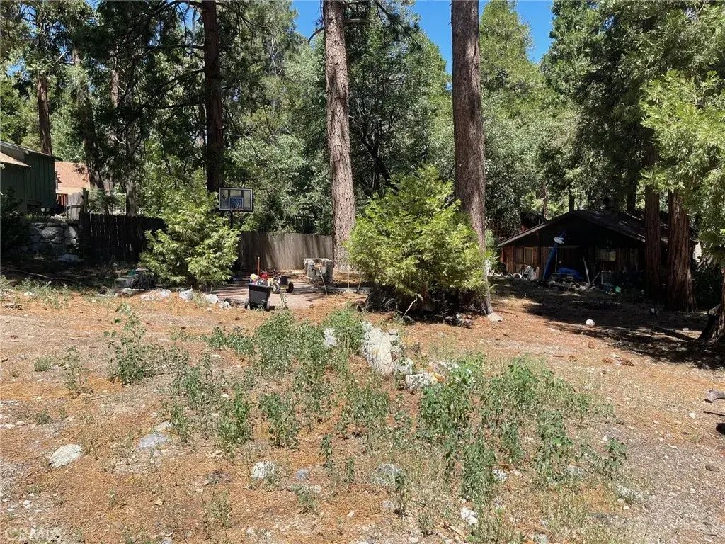 Cedar, Forest Falls