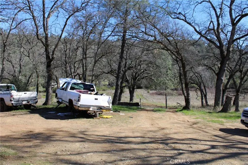 Condor, Oroville