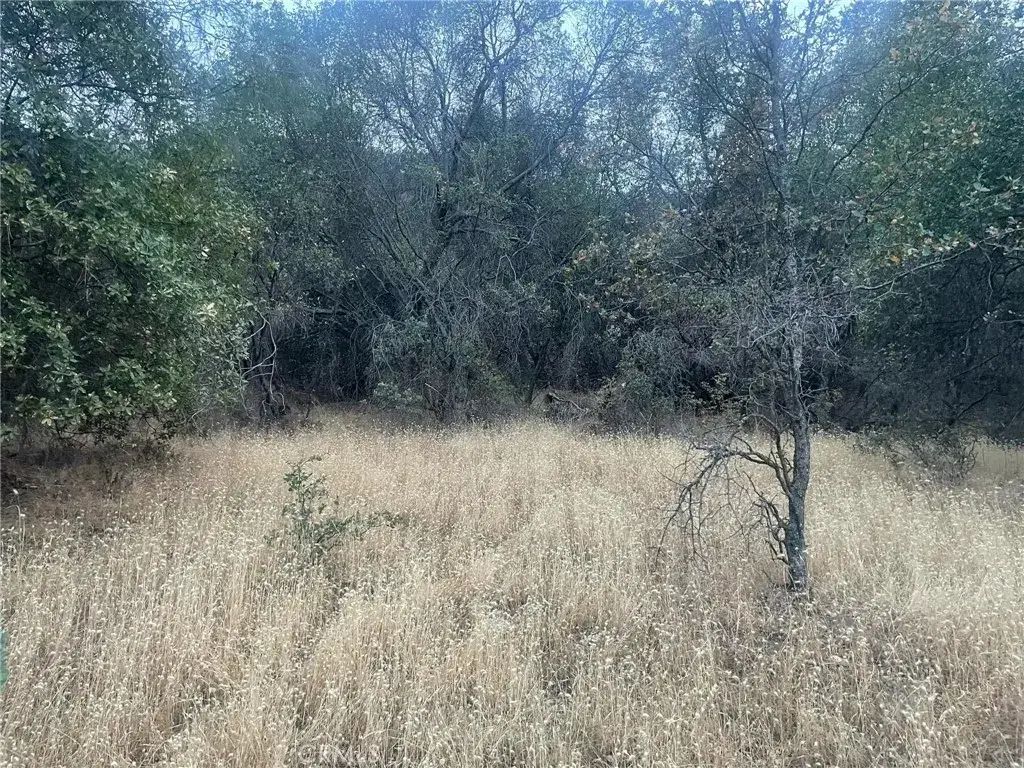 43020 Apache Ranch, Ahwahnee