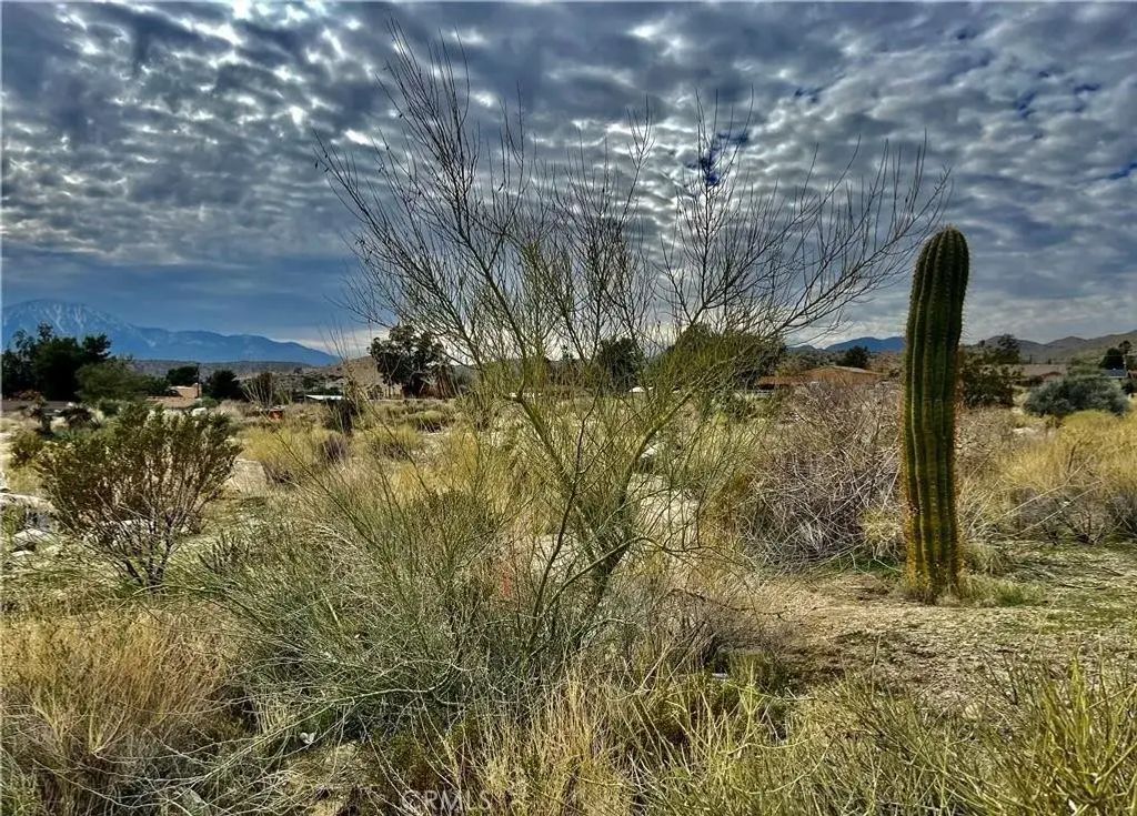 11040 Mescalero, Morongo Valley
