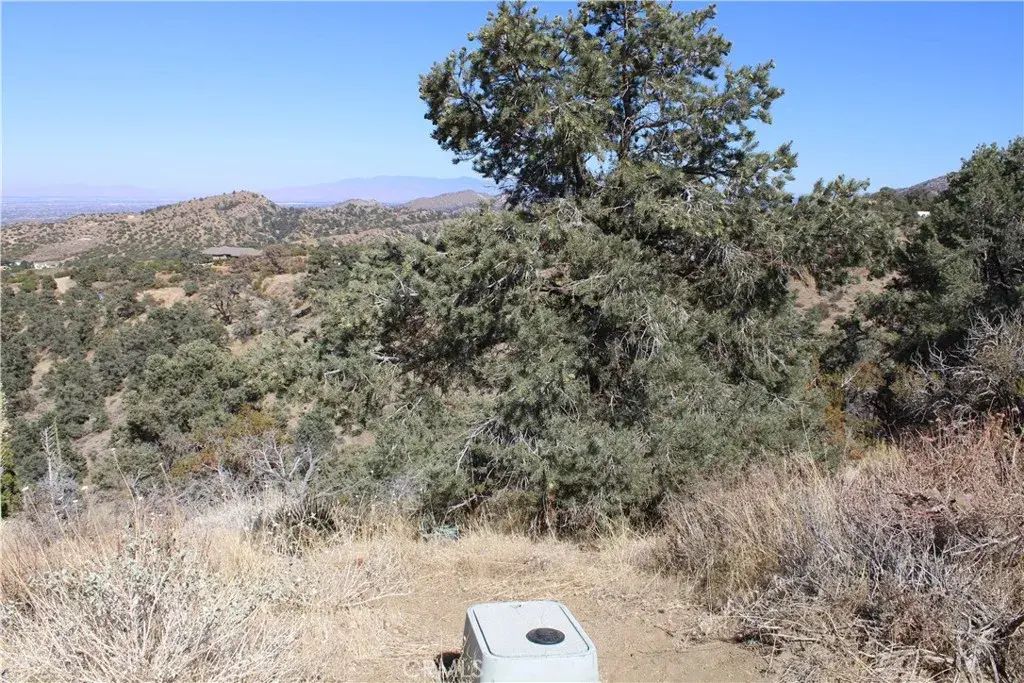 7935 Scenic, Pinon Hills