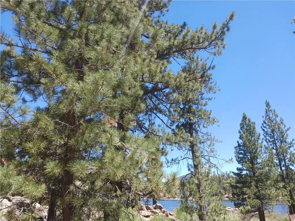 Big Bear, Big Bear Lake