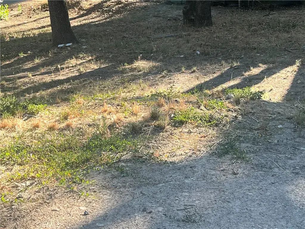 Tank, Running Springs