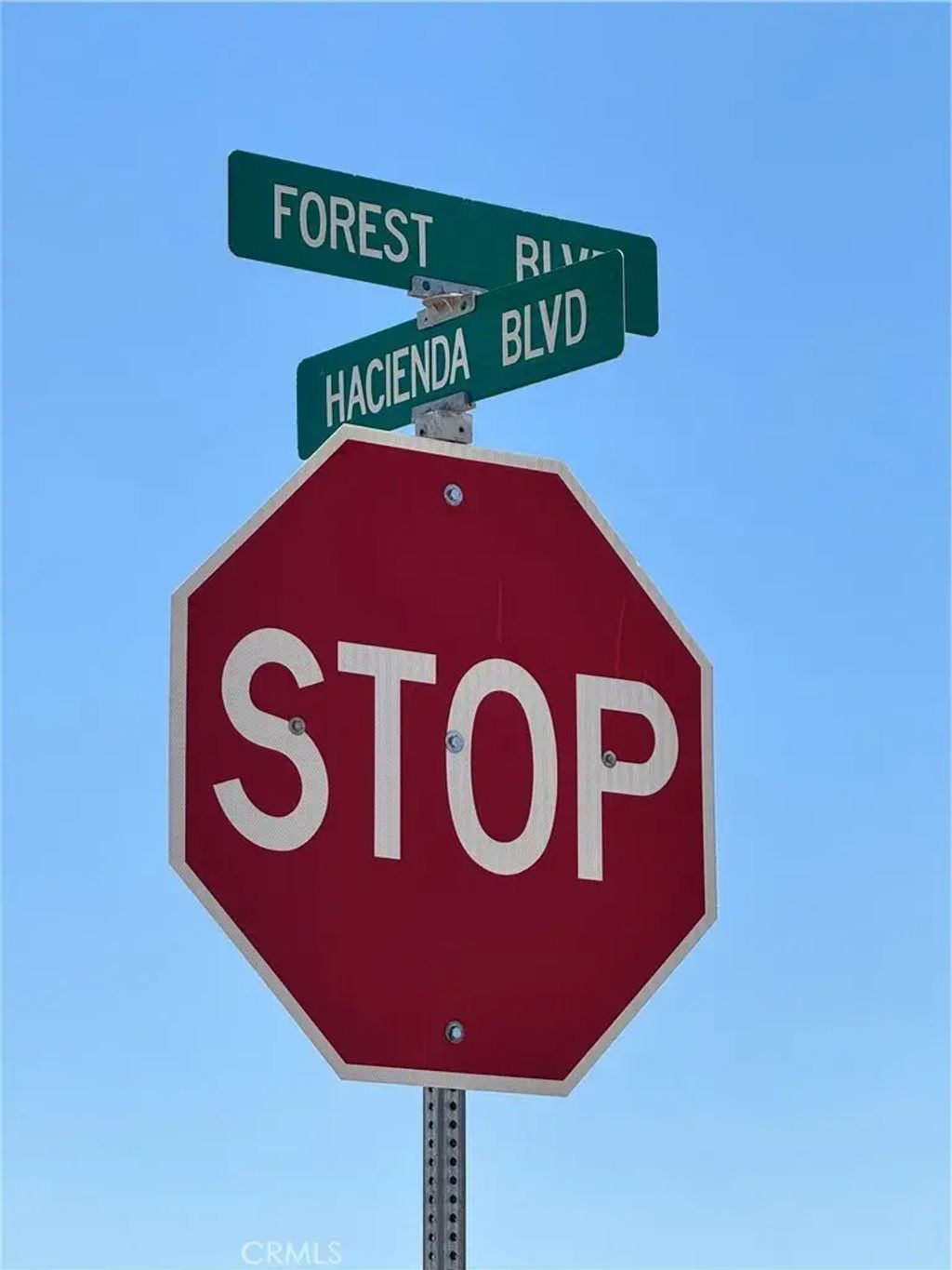 Forest, California City