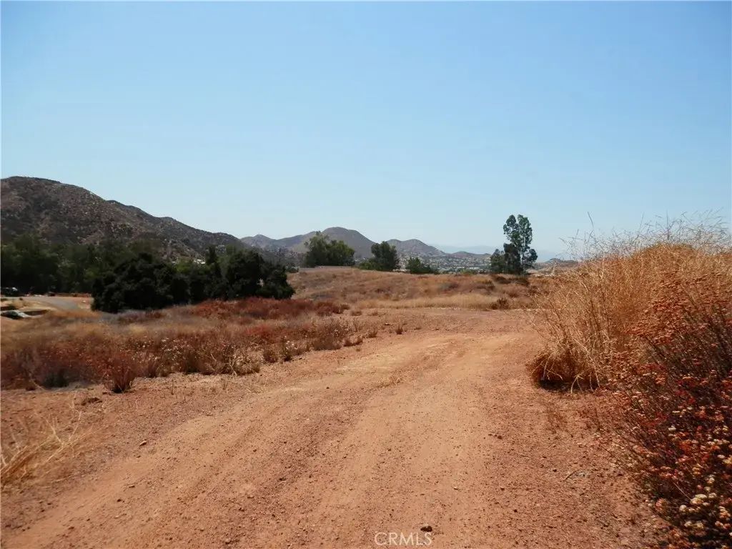 Acacia, Wildomar