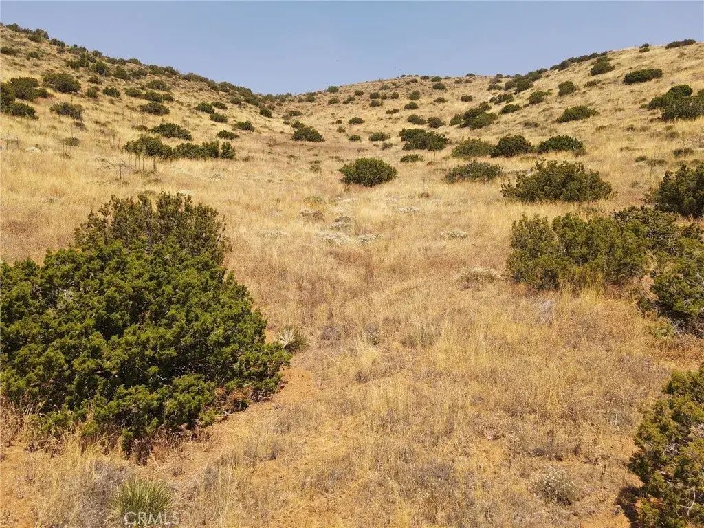 Valleysage, Agua Dulce