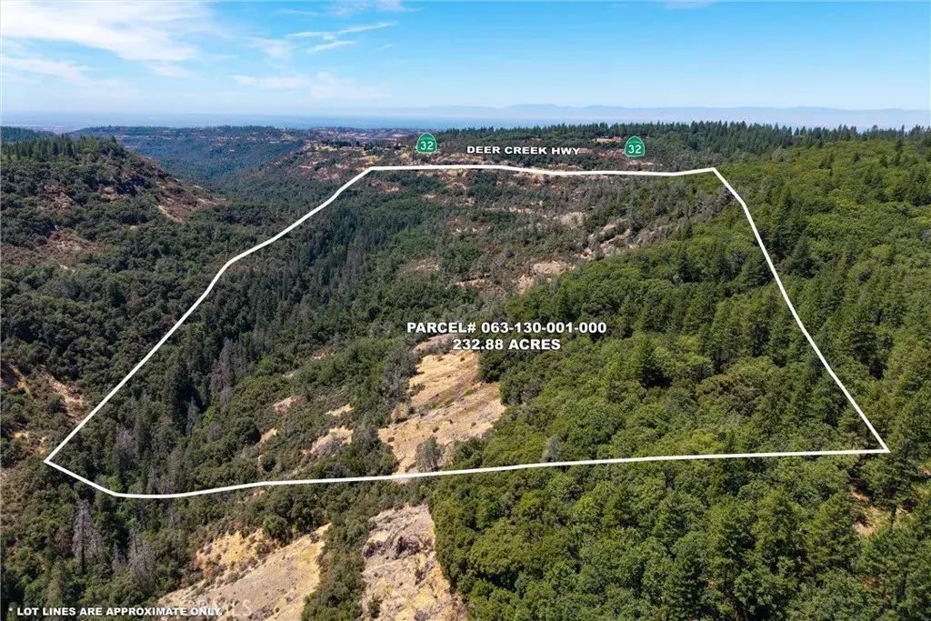 Knolls, Forest Ranch