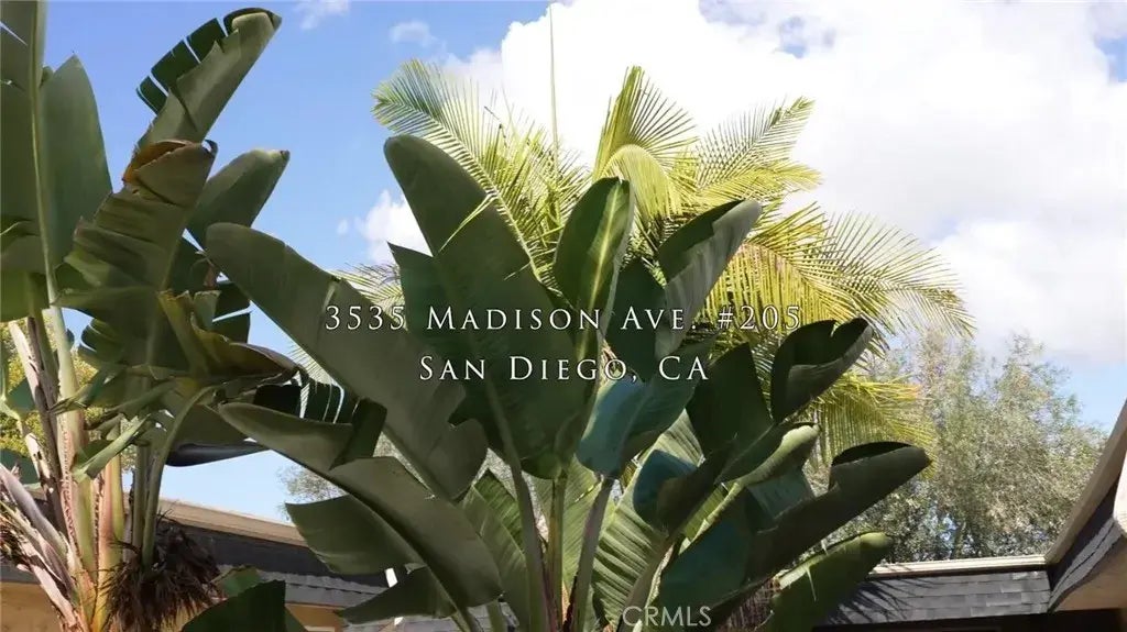 3535 Madison Ave Unit #205, NORMAL HEIGHTS