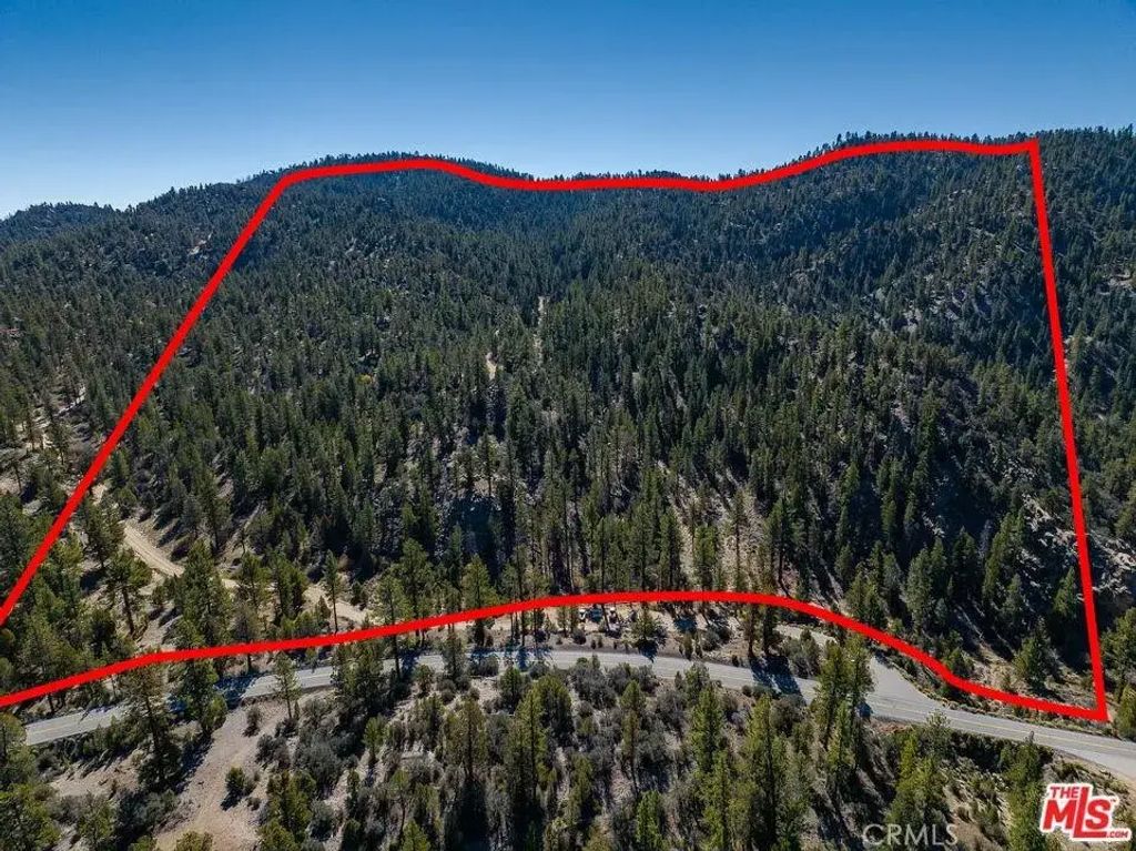 Highway 38, Angelus Oaks