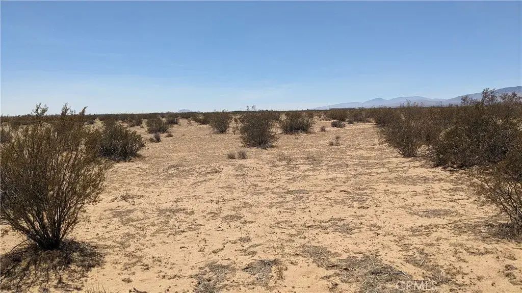 Apn 229-010-42, California City