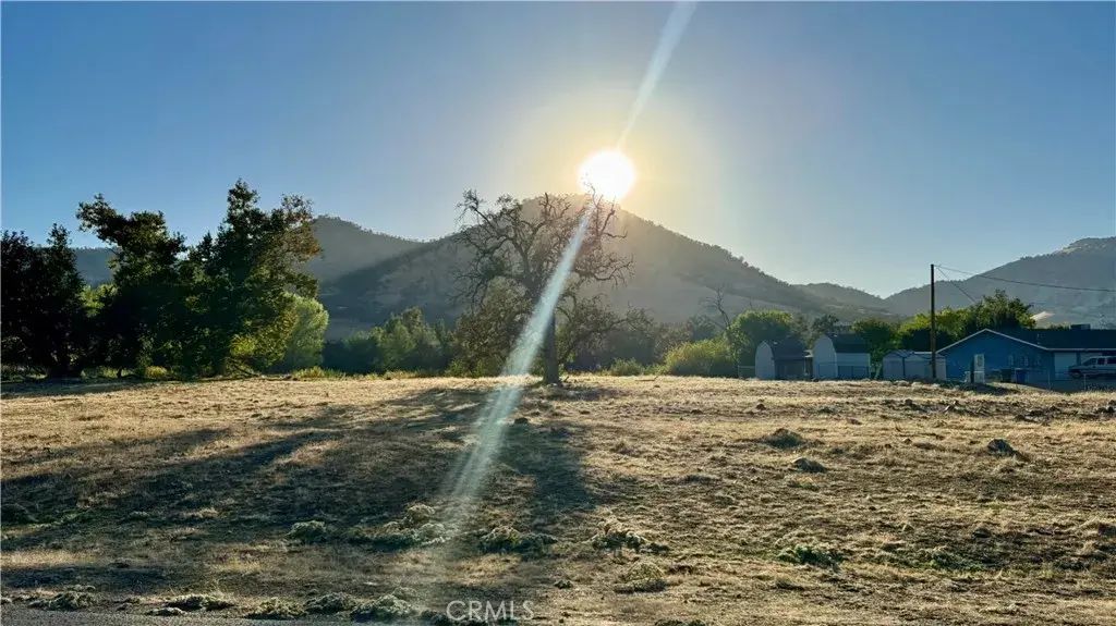 1 Live Oak, Sanger