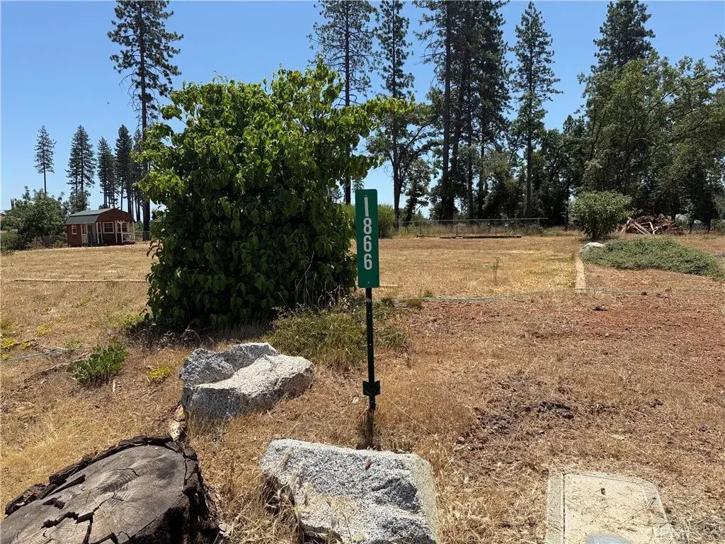 1866 Conifer, Paradise