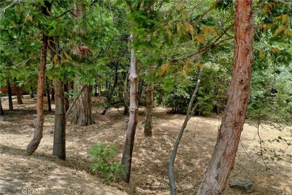 27513 Meadow Bay, Lake Arrowhead