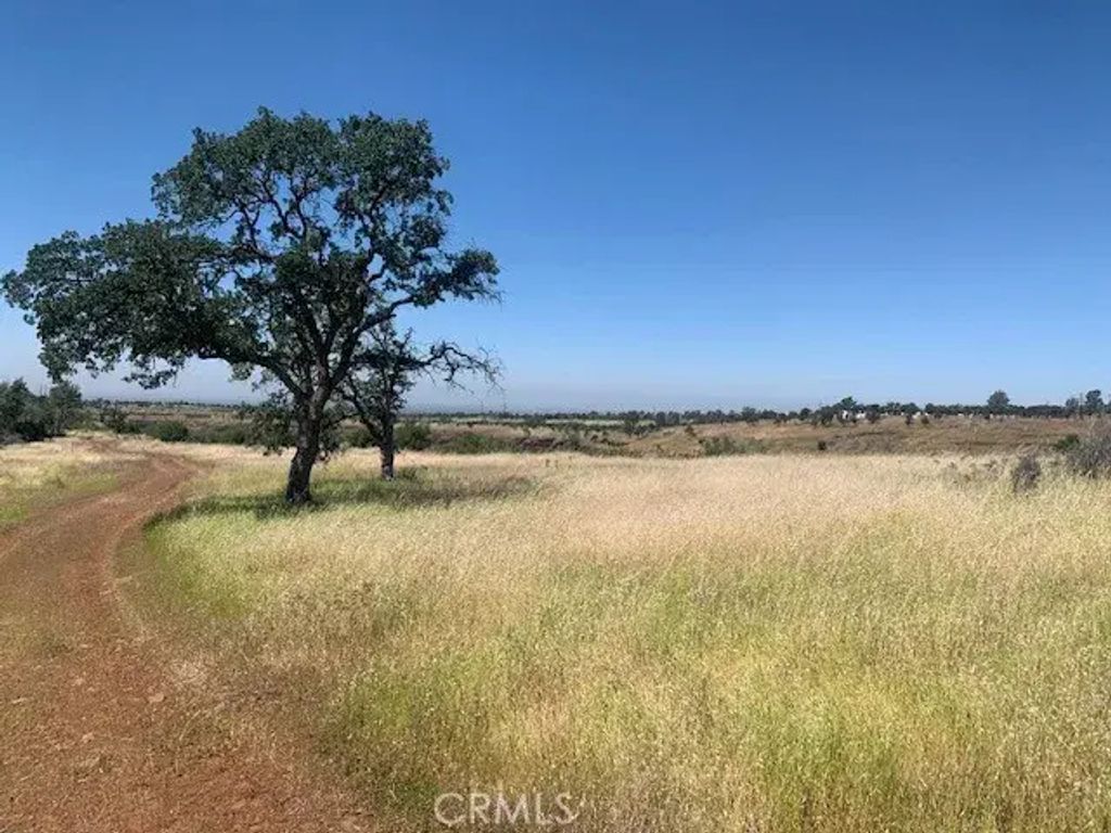 Calernbar, Paradise